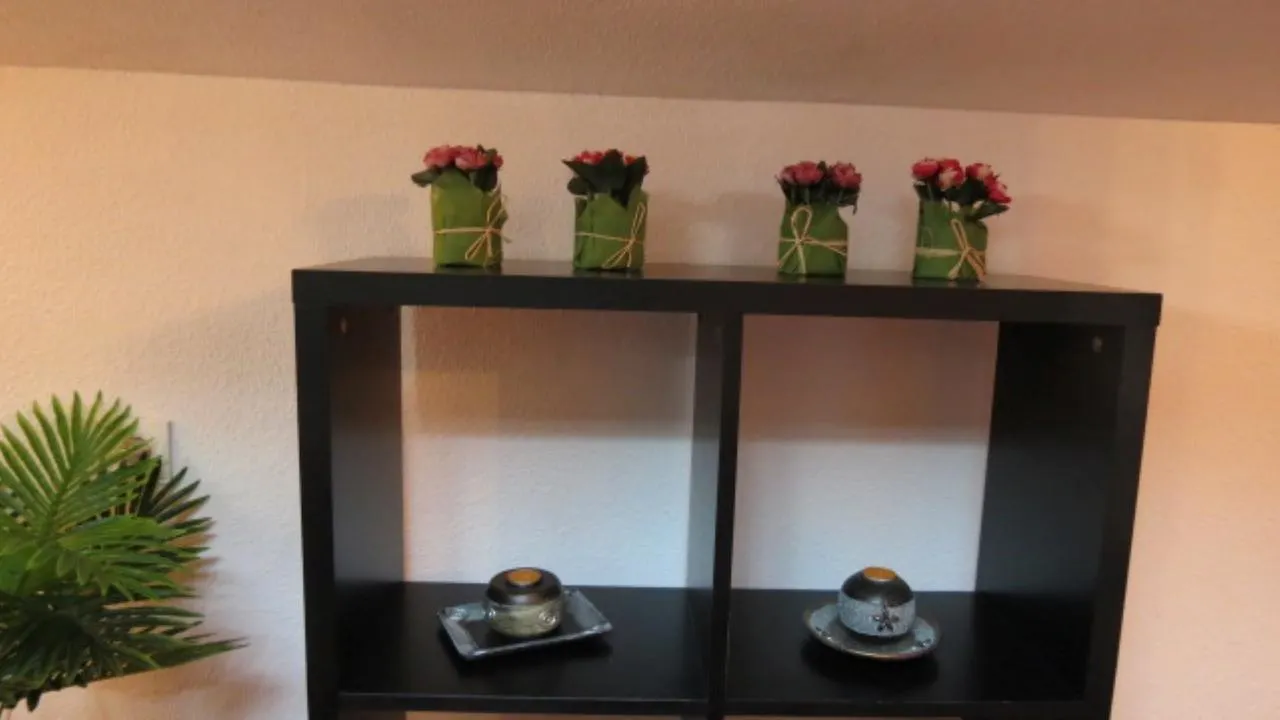 Apartment Comet Suites Elvira Granada Spain